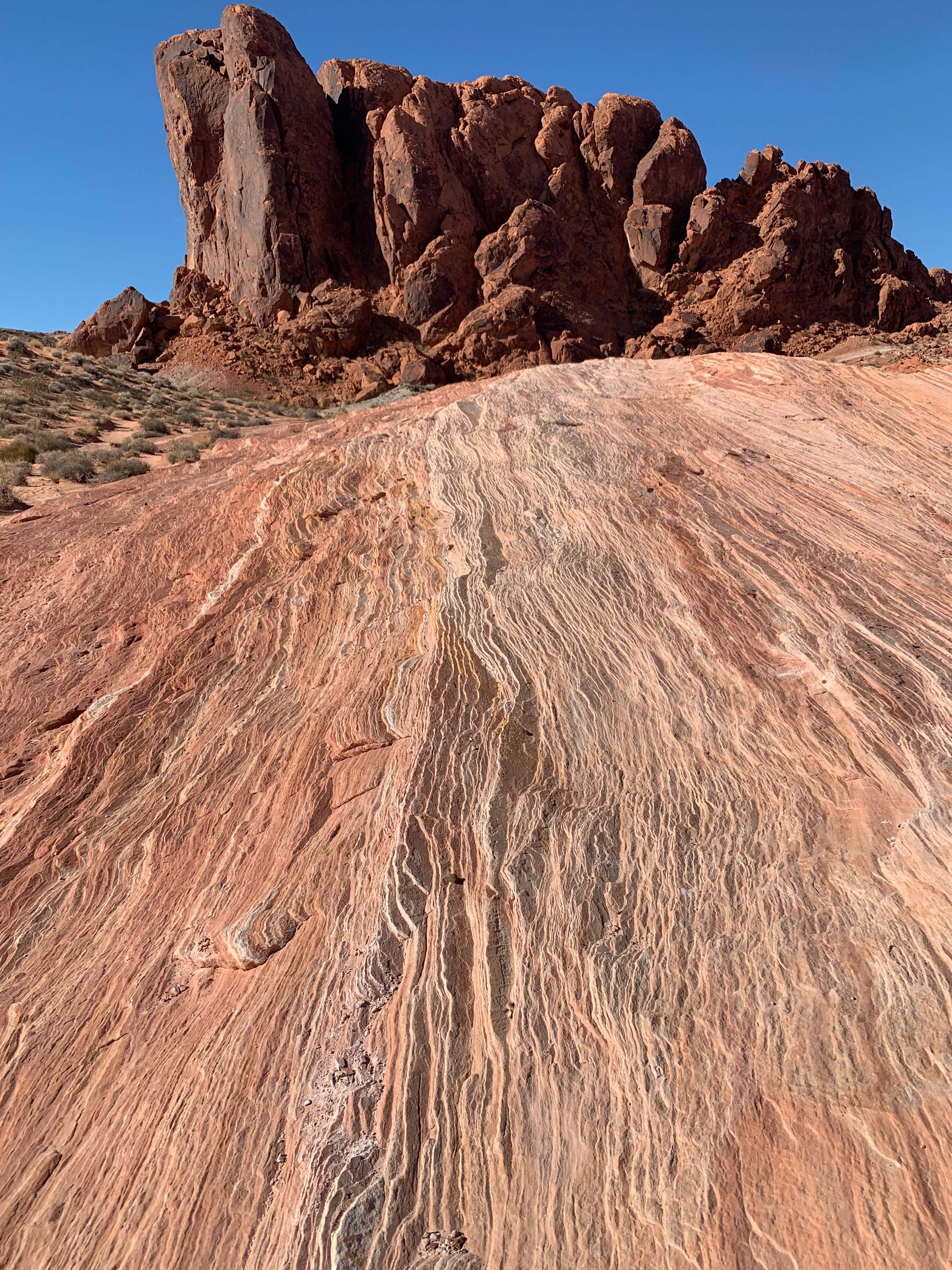 Nevada